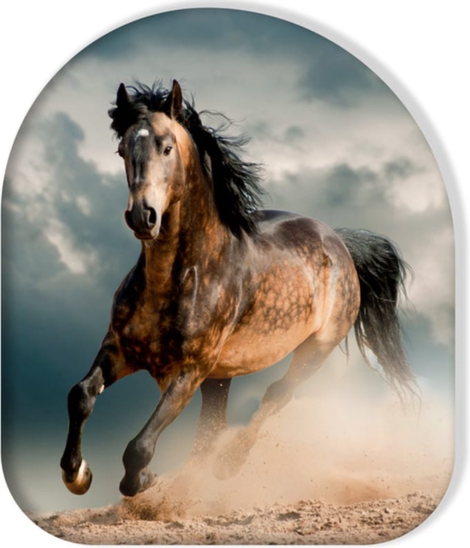Paard sierkussen 40cmx40cm Duurzaam Polyester