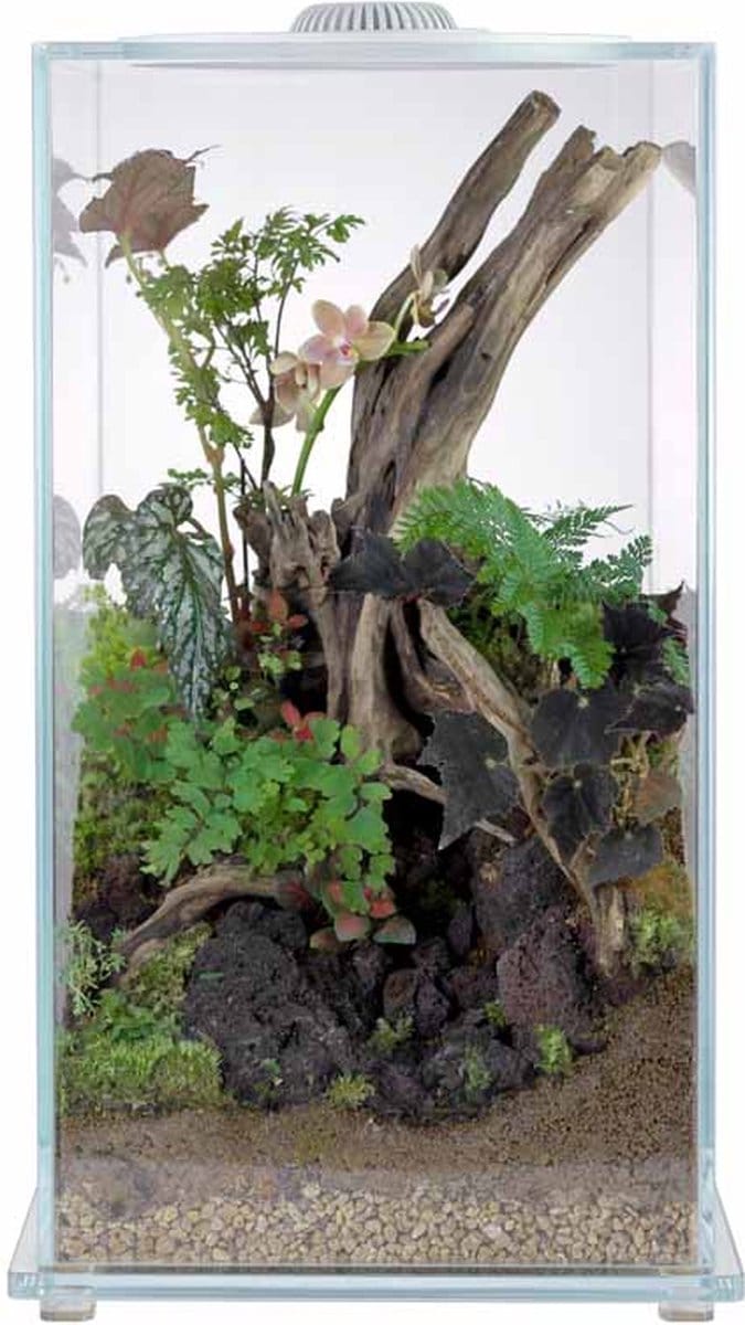 Wabi Kusa Bio Tower 270 White plantenterrarium met LED | 27 x 50,8CM