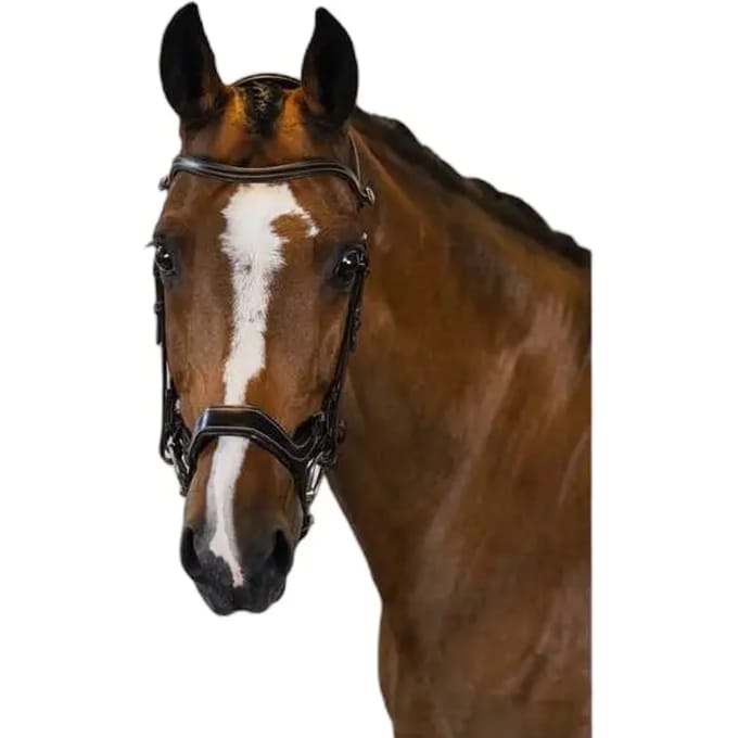PS of Sweden Pioneer anatomisch trens hoofdstel - Cob - Brown