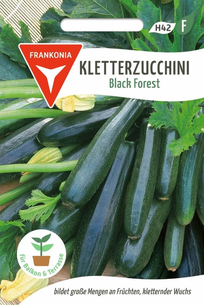 Klimcourgette, Zwarte Woud F1 - Groentezaden, courgettezaden