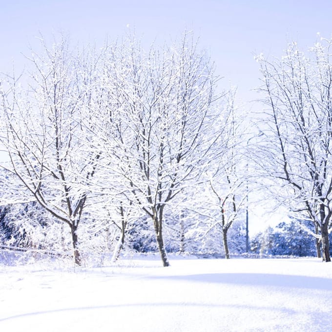 Geurolie - Verse Sneeuw - 100 ml