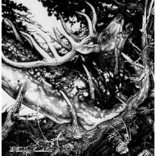 The Third Eye Foundation - The Dark (CD)