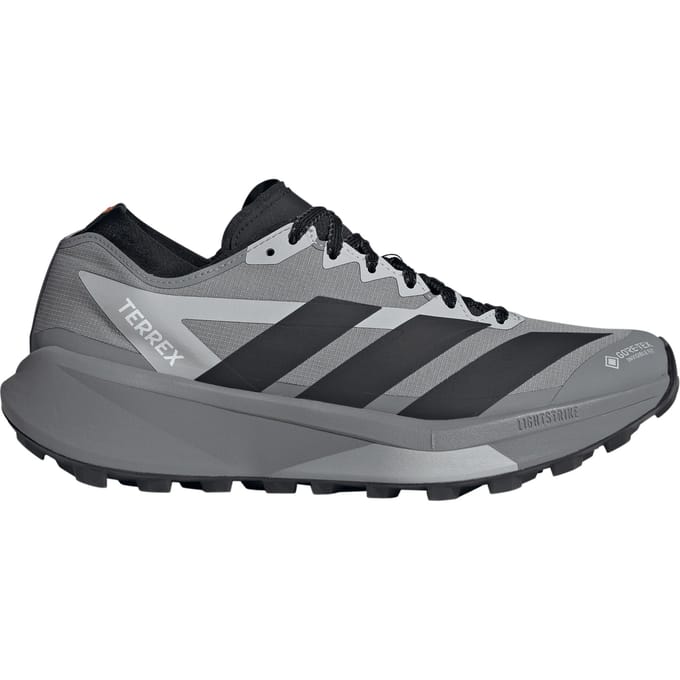 Trailschoenen adidas Terrex Agravic Gore-Tex 2