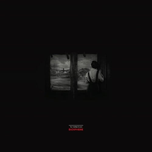 Pertified Forest - Biosphere