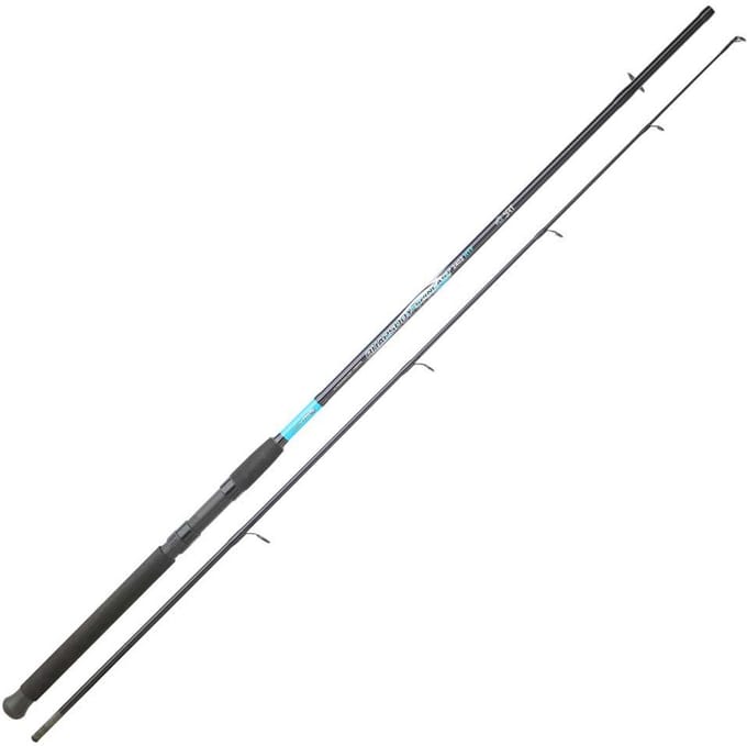 Sert Fish Instinct Rhapsody Cast Spinhengel Zilver 2.40 m / 20-50 g