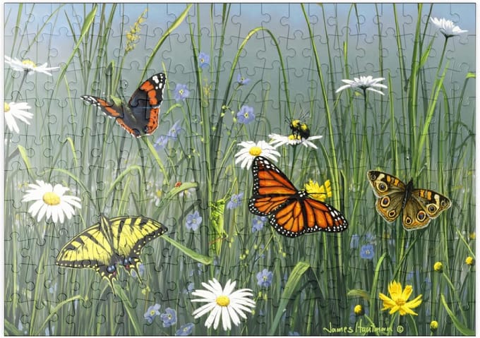 Legpuzzel - Puzzelspel - Ontspanning - 200 Stukjes - 48 x 34 cm - Natuurlijk
