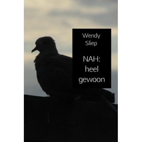 Nah: Heel Gewoon - Wendy Sliep