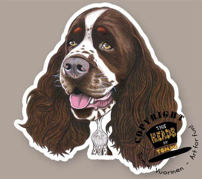 Magneet Hond Engelse Springer Spaniel