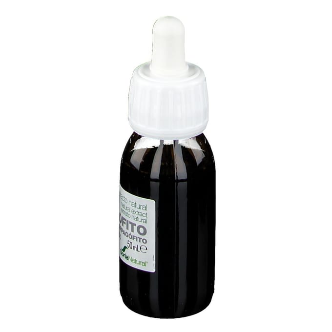 Soria Natural® Harpagophytum Procumbens Xxi Extr. Fl. 50 Oplossing