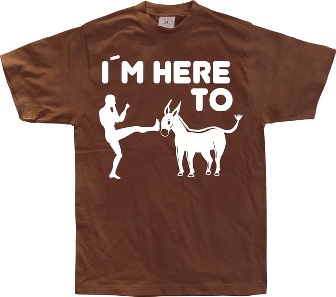 Hybris I'm Here To Kick Ass T-shirt SH-1-15157-LFH2-5