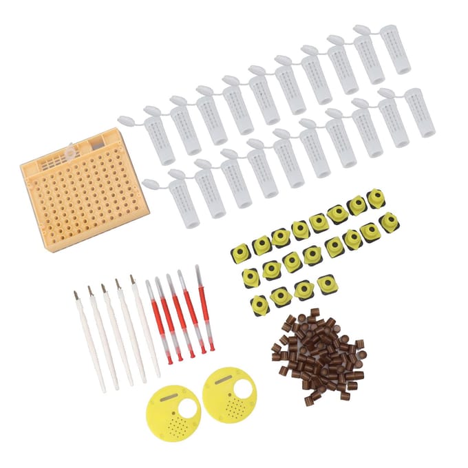 Koninginnenteelt Systeem Plastic Broedcel Cup Kit Bijenteelt Entapparatuur Benodigdheden white