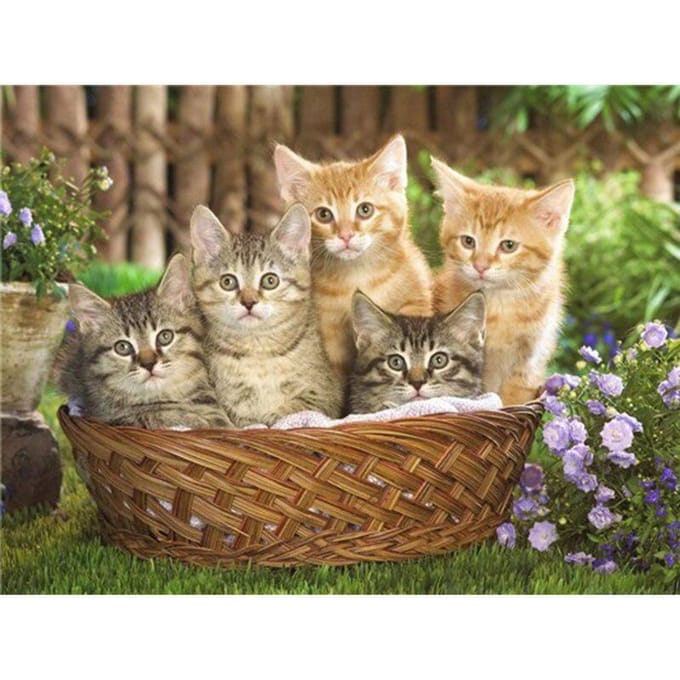Peinture diamant 5D chat dans un panier de fleurs, broderie diamant, point de croix 20X30CM beige