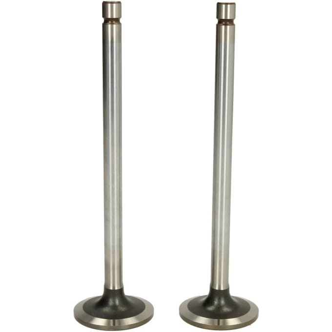 Inlaatklep TRW 105-35658