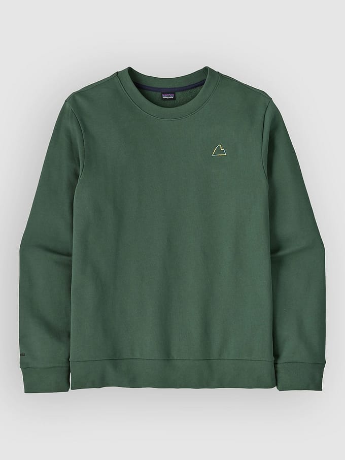 Patagonia Fitz Roy Massif Daily Crew Sweater groen