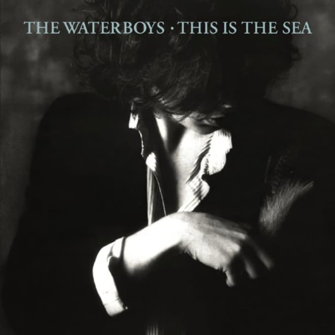 This Is The Sea (Collectors Edition)
