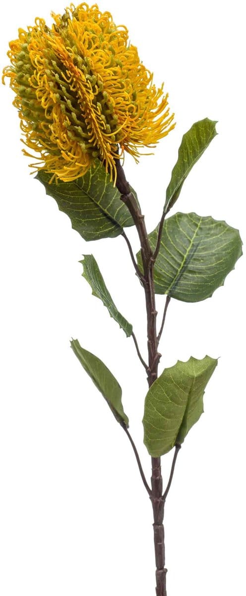 Emerald - Kunstbloem Banksia geel 57cm - Kunstplant voor binnen