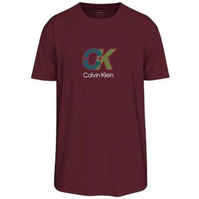 T-shirt Korte Mouw Calvin Klein Jeans LV04RD821G