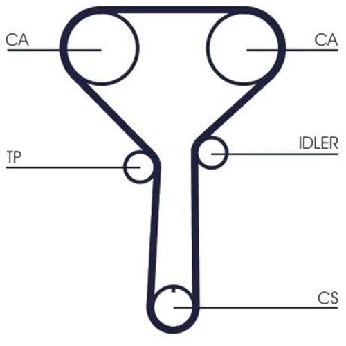 Getande riem CONTINENTAL CTAM CT1254