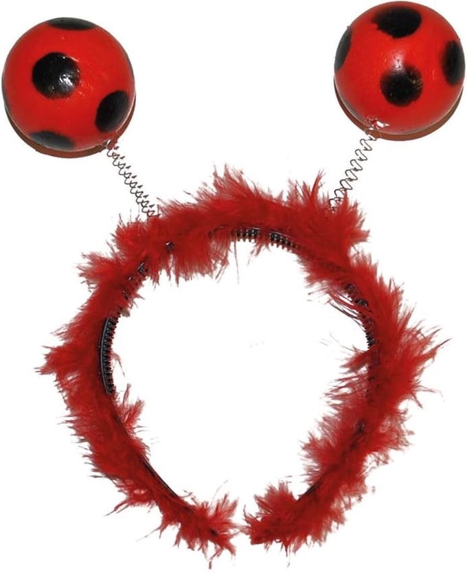 Diadeem lieveheersbeestje Evi