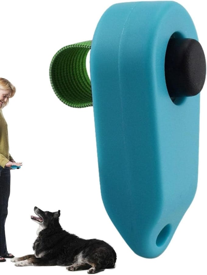 Training Clicker - Hondentraining tool - Gedrag trainen - Duurzaam en licht - Compact formaat - Zwart