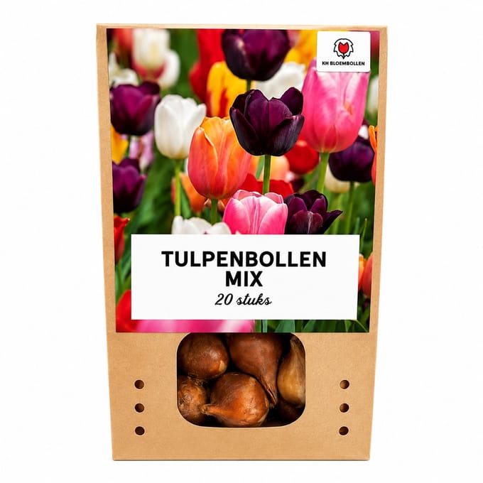 KH Bloembollen Tulpenbollen Mix - 20 Stuks - Winterhard - Maat 11/12