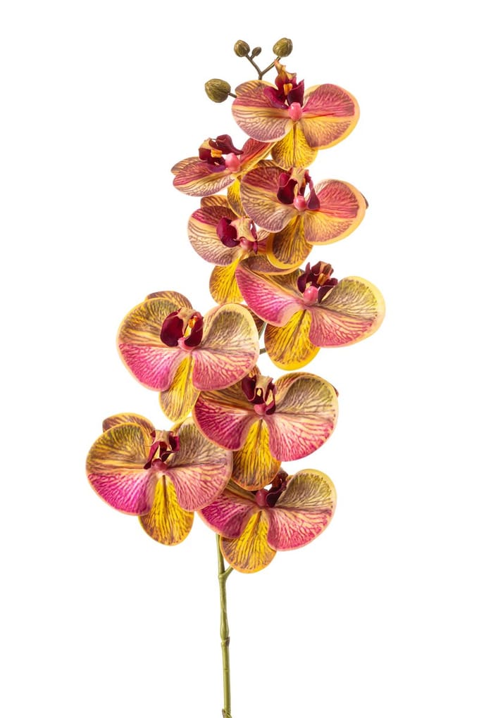 Emerald - Kunstbloem Phalaenopsis RT 95cm geel/roze - Kunstplant voor binnen