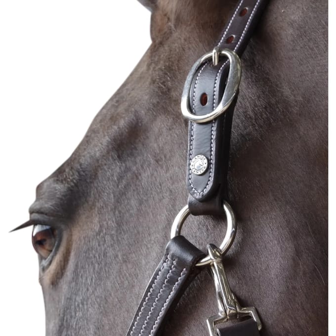 Gevoerd lederen halster voor paarden Canter