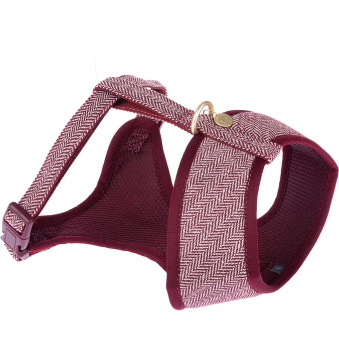 Nomad Tales Calma Tuig, Burgundy - Maat S: 32 - 46 cm Borstomvang