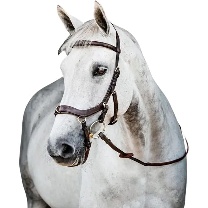 Horseware Hoofdstel Horseware Micklem Multi Bridle 2.0 Bruin
