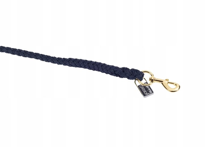 Eskadron Riem met Gouden Karabijn - Navy
