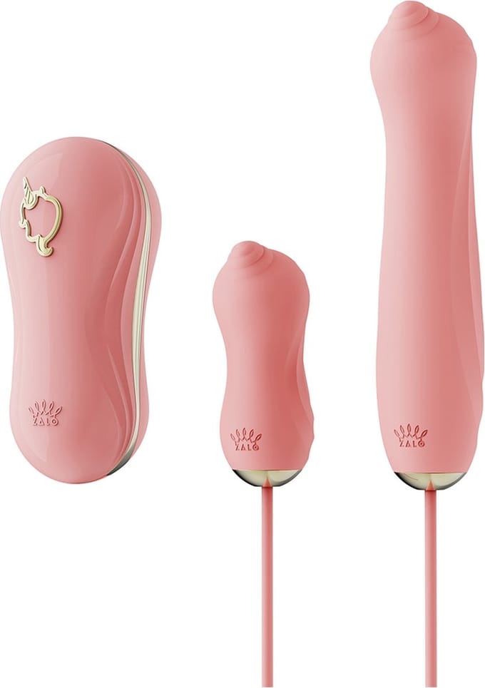 Zalo - Sucking Vibrator with Pump and Different Attachments