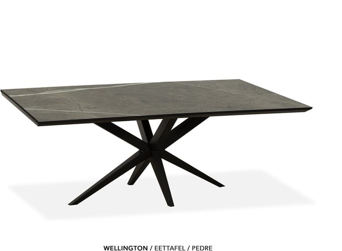 Maxfurn - Eettafel | Zeer krasvast | Kleur: Pedra| Afmeting 220x100cm