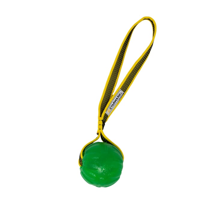 Starmark GripCord Chew Ball Loop M Hond