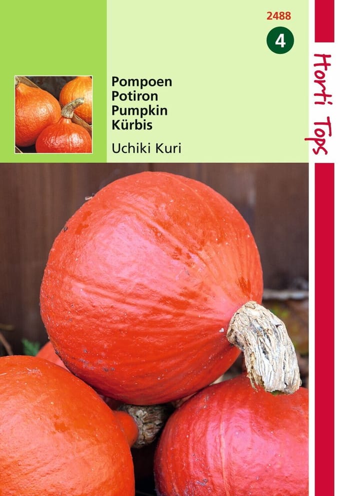 2 stuks - Hortitops - Pompoenen Oranje Zon