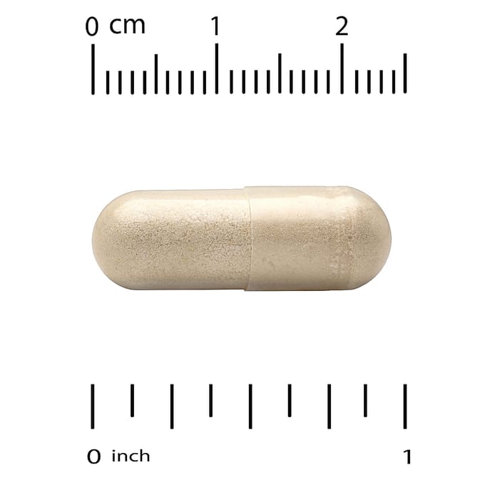 Biologische Paddenstoelen + Gember, 60 Veggie Capsules
