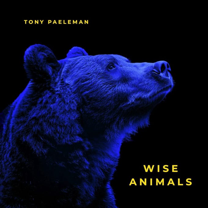 Tony Paeleman - Wise Animals (LP)