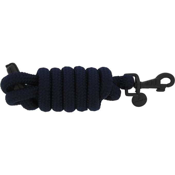 Gedrag longe voor paard Equithème Pearl