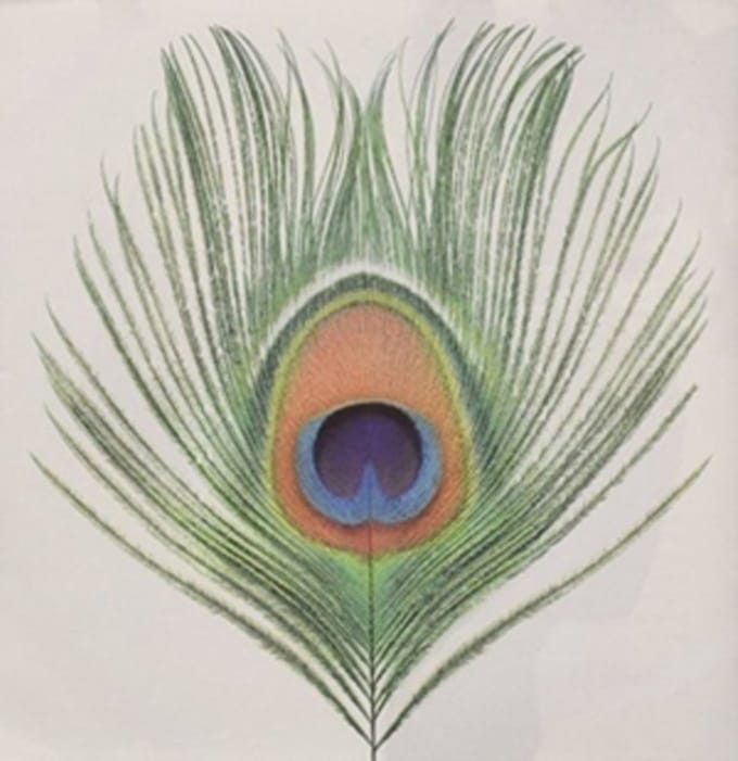 XTC - Wasp Star (Apple Venus Vol. 1) (LP)