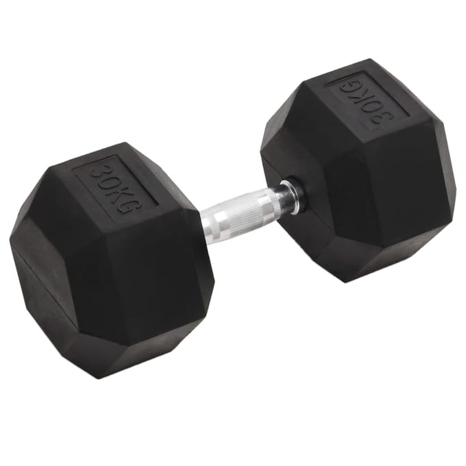 vidaXL - Halters - 30 - kg - gietijzer