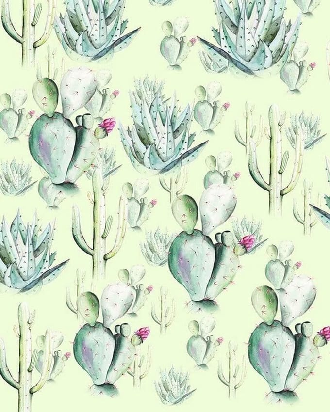 Fotobehang - Cactus Green 200x250cm - Vliesbehang