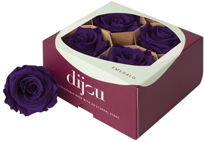 4x Rose preserved dc purple 2623c