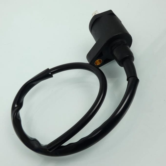 Bobine d'allumage HT P2R pour Scooter CPI 50 Oliver Avant 2020 Neuf