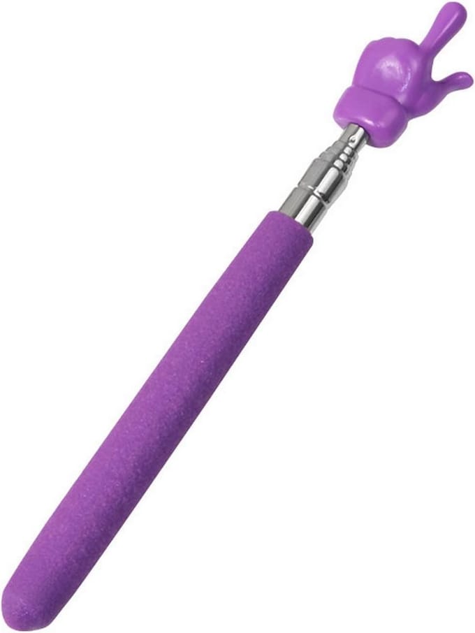Violette Uitschuifbare Wijsstok - Flexibele Presentatiepen voor Klaslokaal en Whiteboard