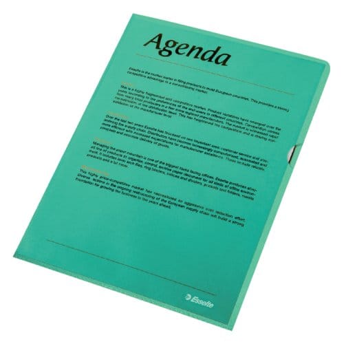 Esselte Standaard Zichtmap A4 - 0,11mm PP Folie - 100 Stuks - Groen