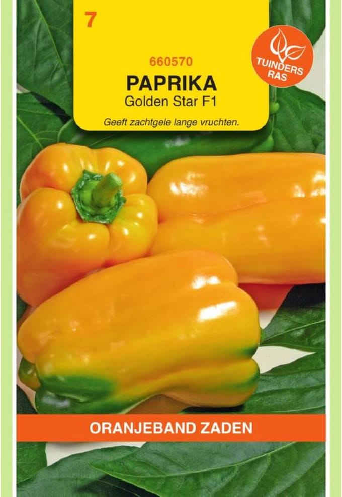 Oranjebandzaden -  Paprika Gemini geel F1