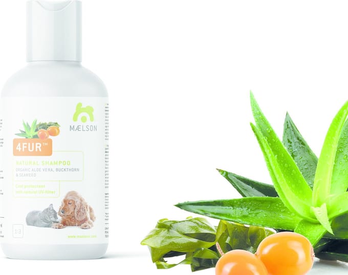 Maelson 4Fur Buckthorn & Seaweed shampoo