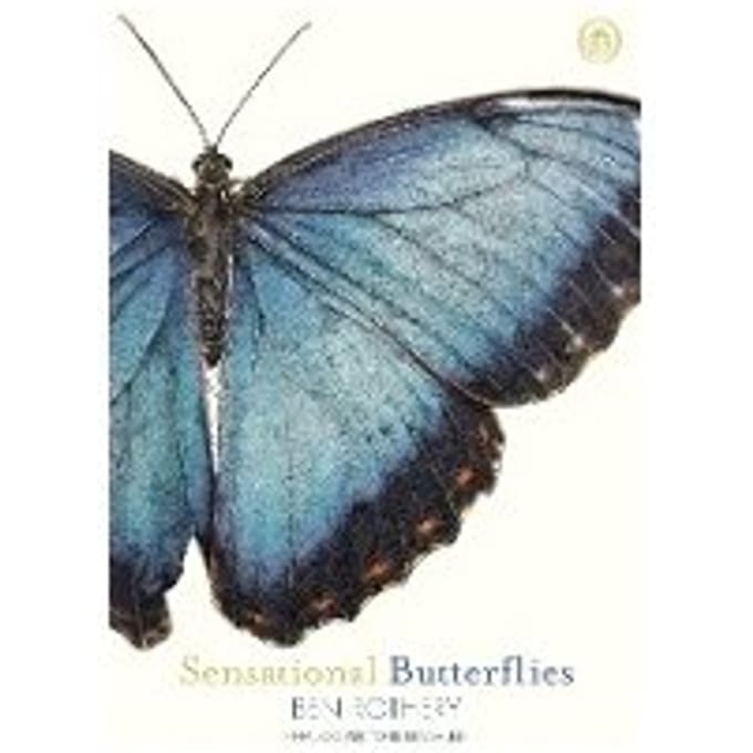 Sensational Butterflies - Ben Rothery