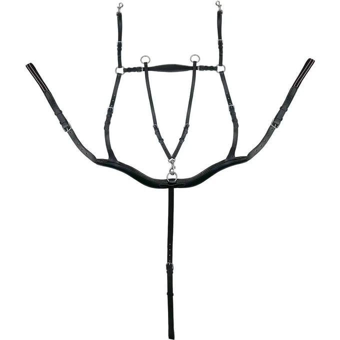 Vijfpunts halsband voor paard York Eddy