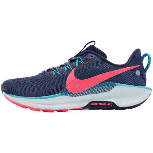 Hardloopschoenen Nike DV3864-403