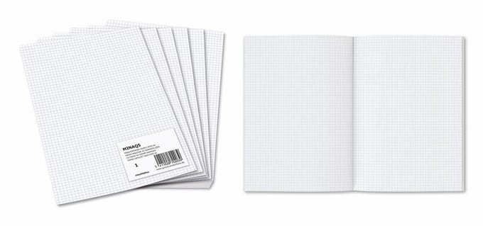 Aurora ministerpapier | geruit | A4 | pak van 240 vel (geplooid)